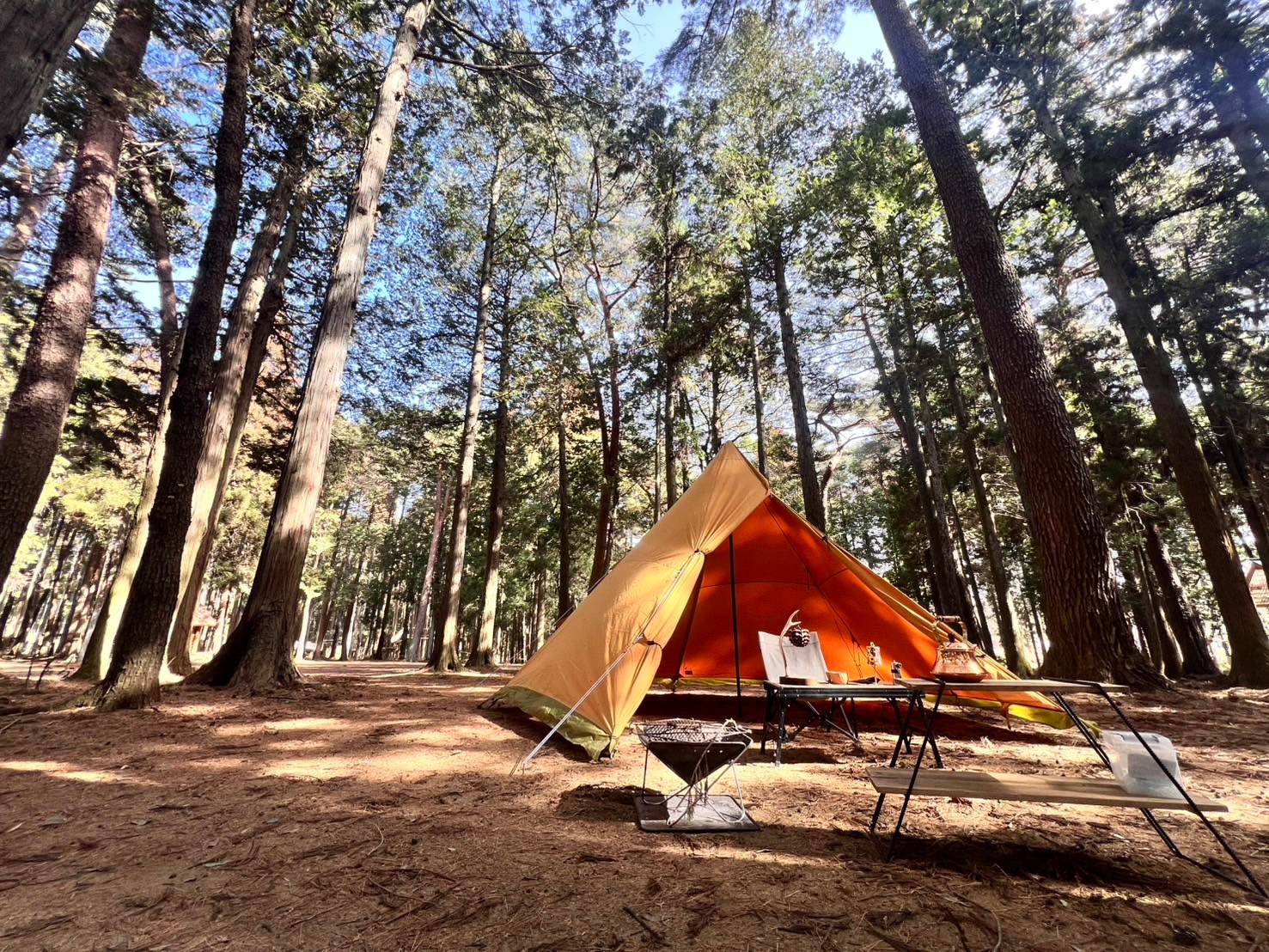 林間オートフリーサイト（車両1台まで）