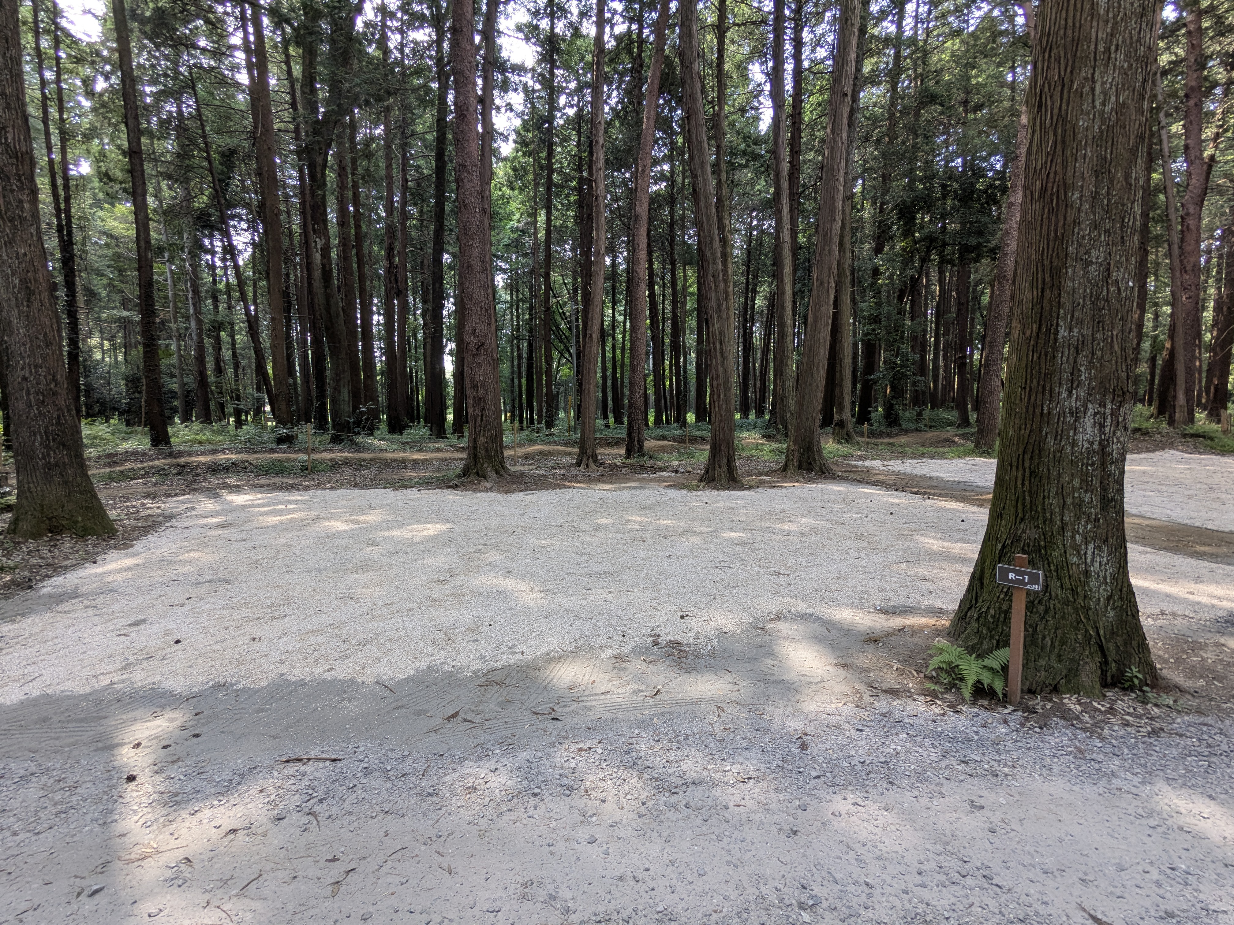 林間オート区画サイト　R-1（約110㎡、車1台まで）