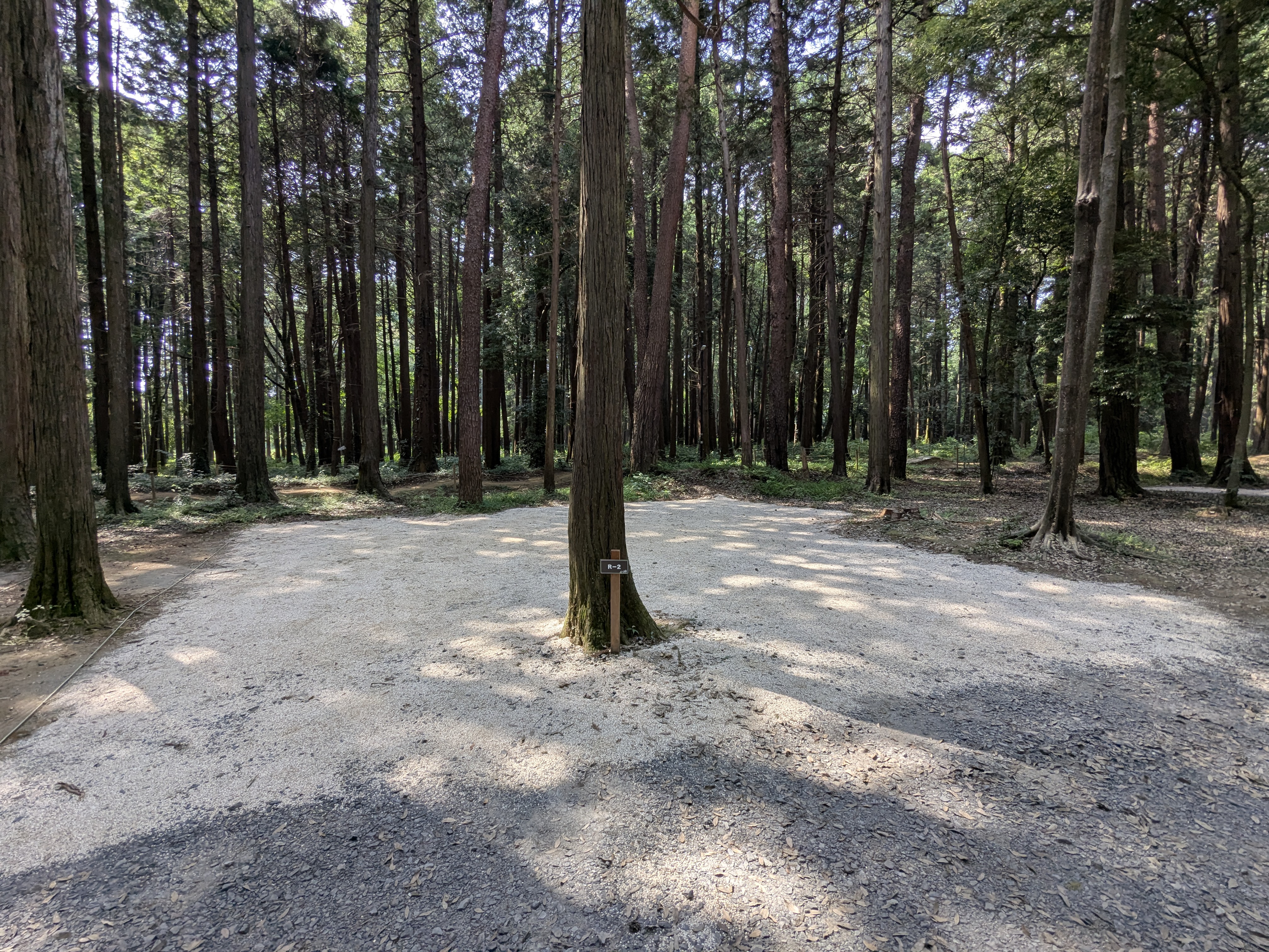 林間オート区画サイト　R-2（約120㎡、車1台まで）