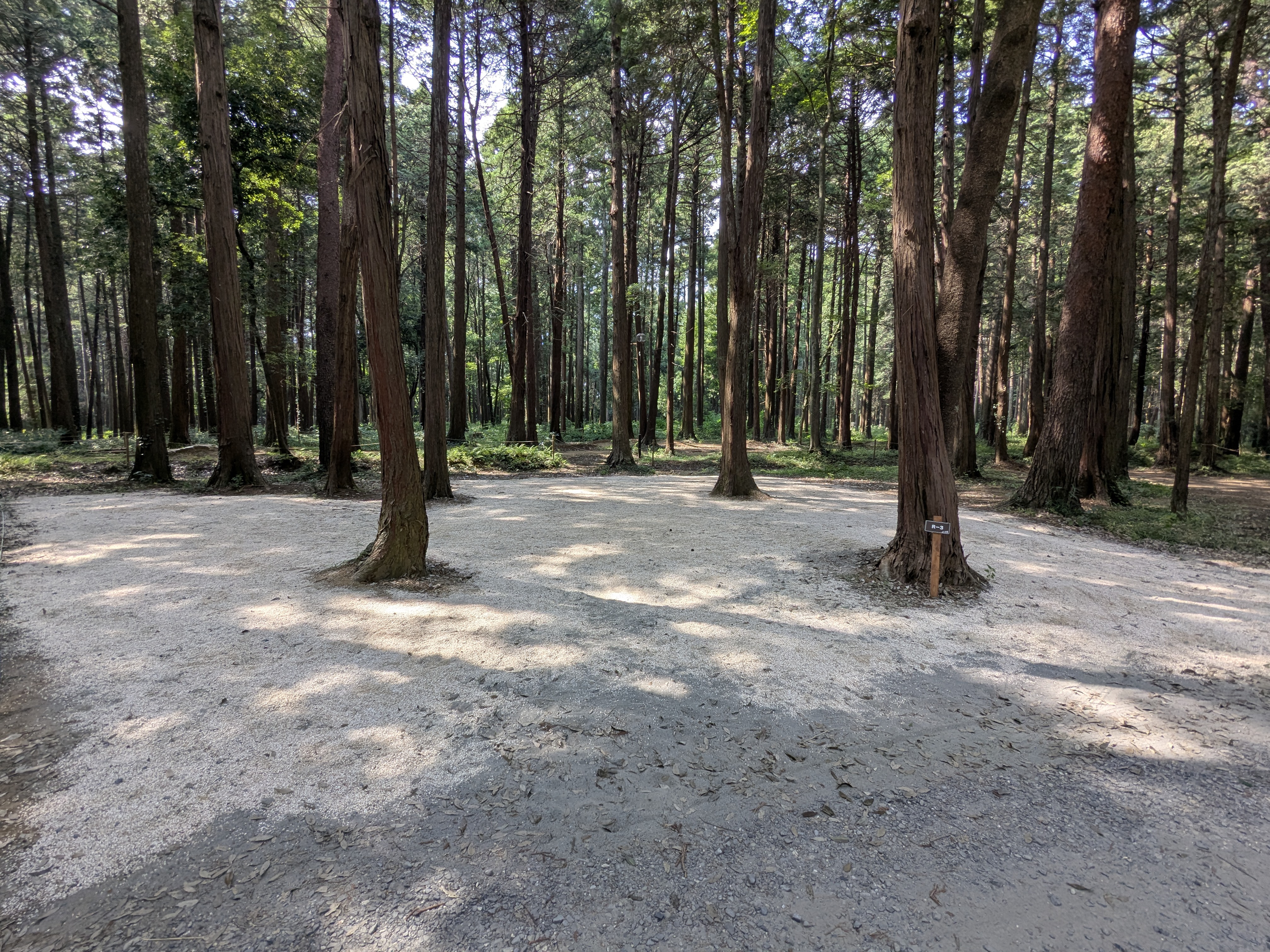 林間オート区画サイト　R-3（約130㎡、車1台まで）