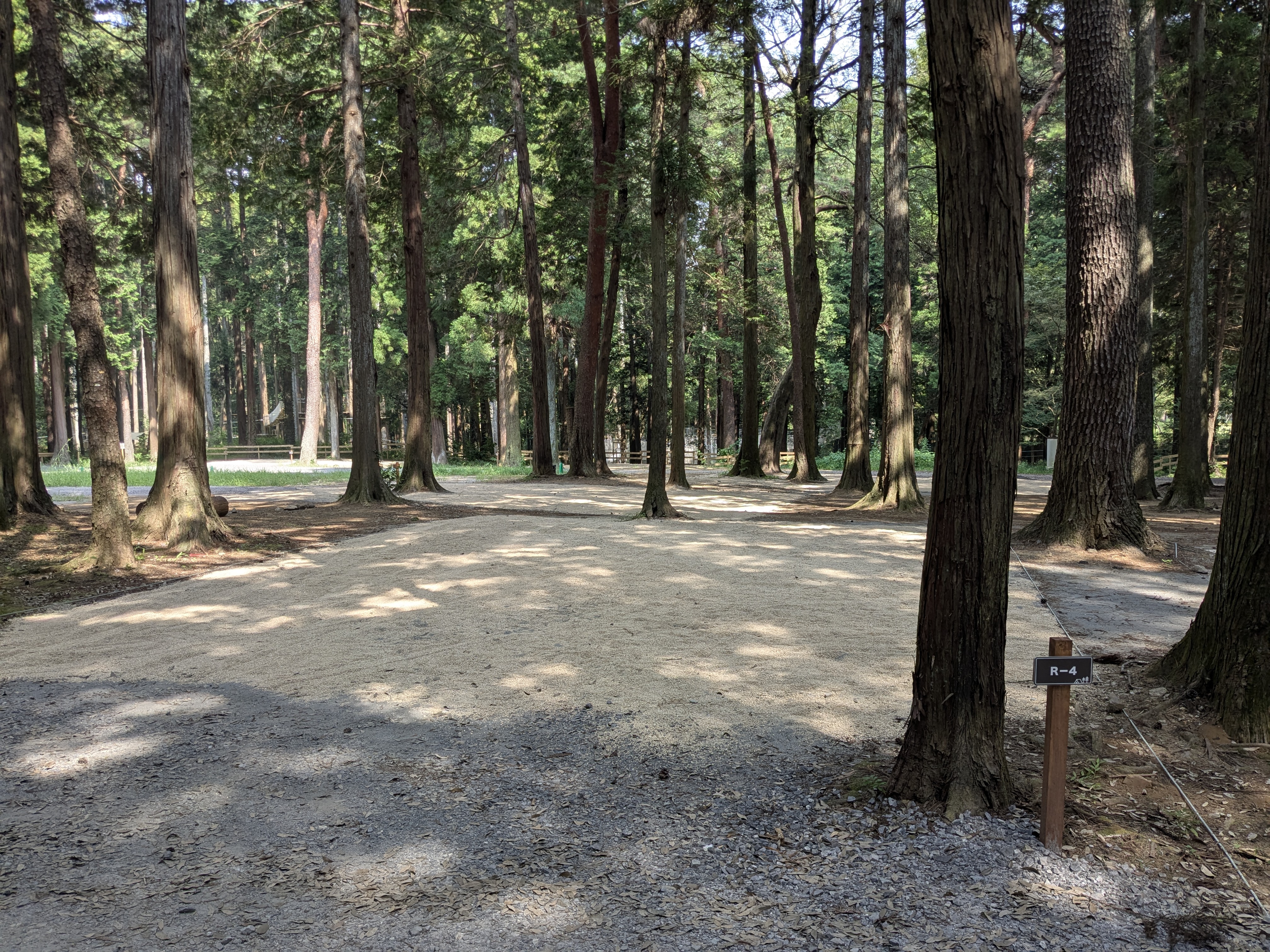 林間オート区画サイト　R-4（約110㎡、車1台まで）