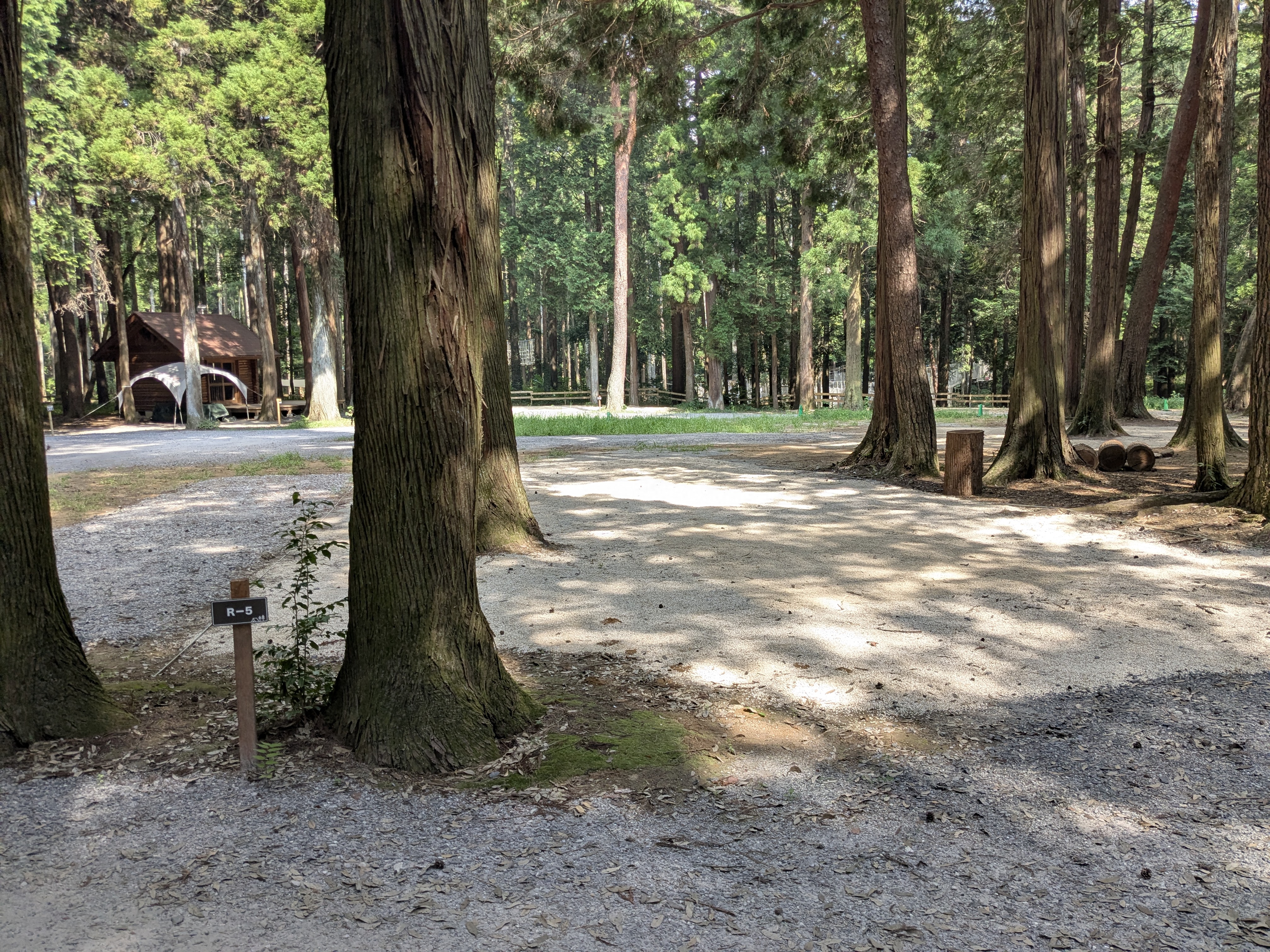 林間オート区画サイト　R-5（約110㎡、車1台まで）