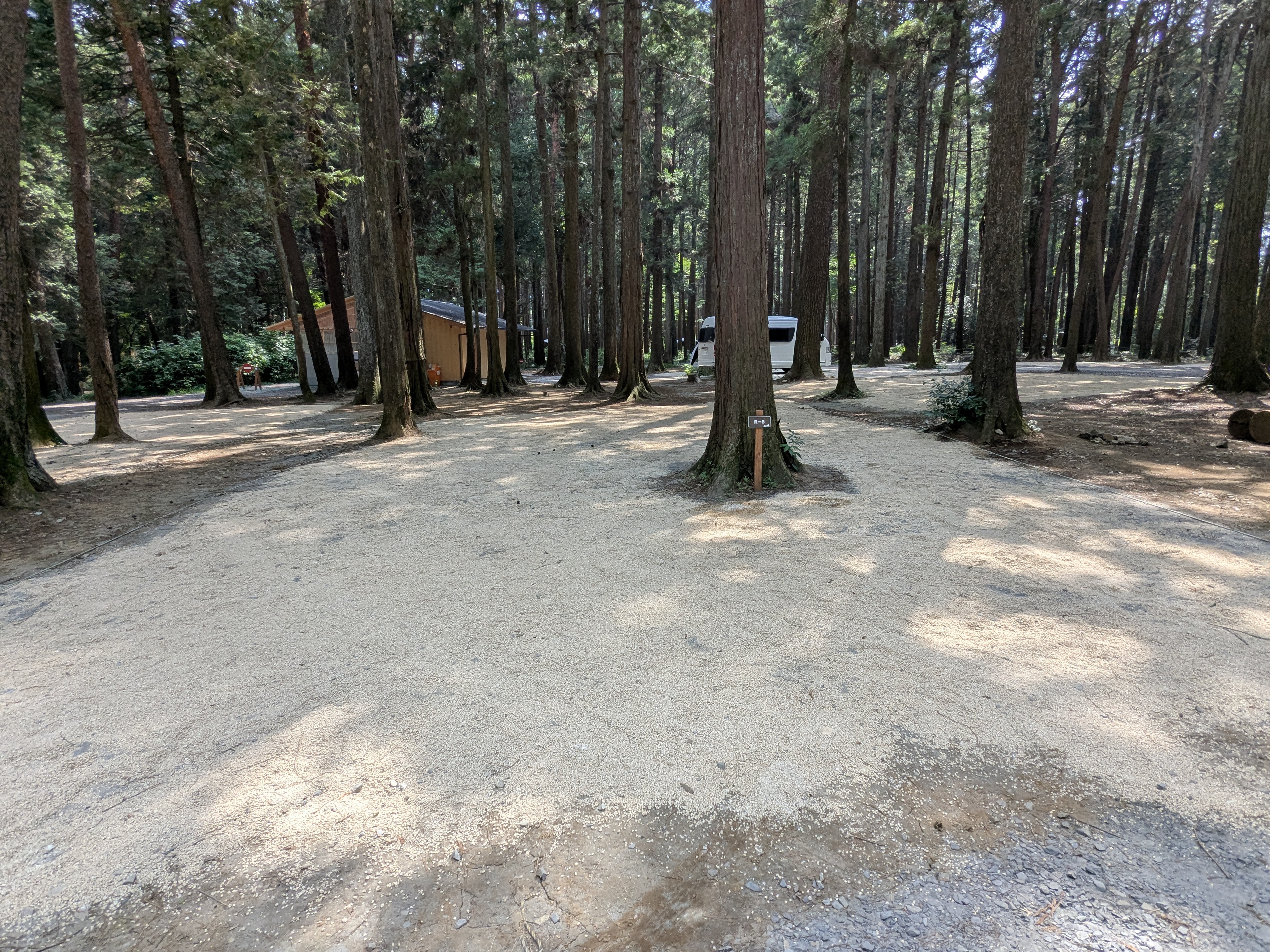 林間オート区画サイト　R-6（約110㎡、車1台まで）