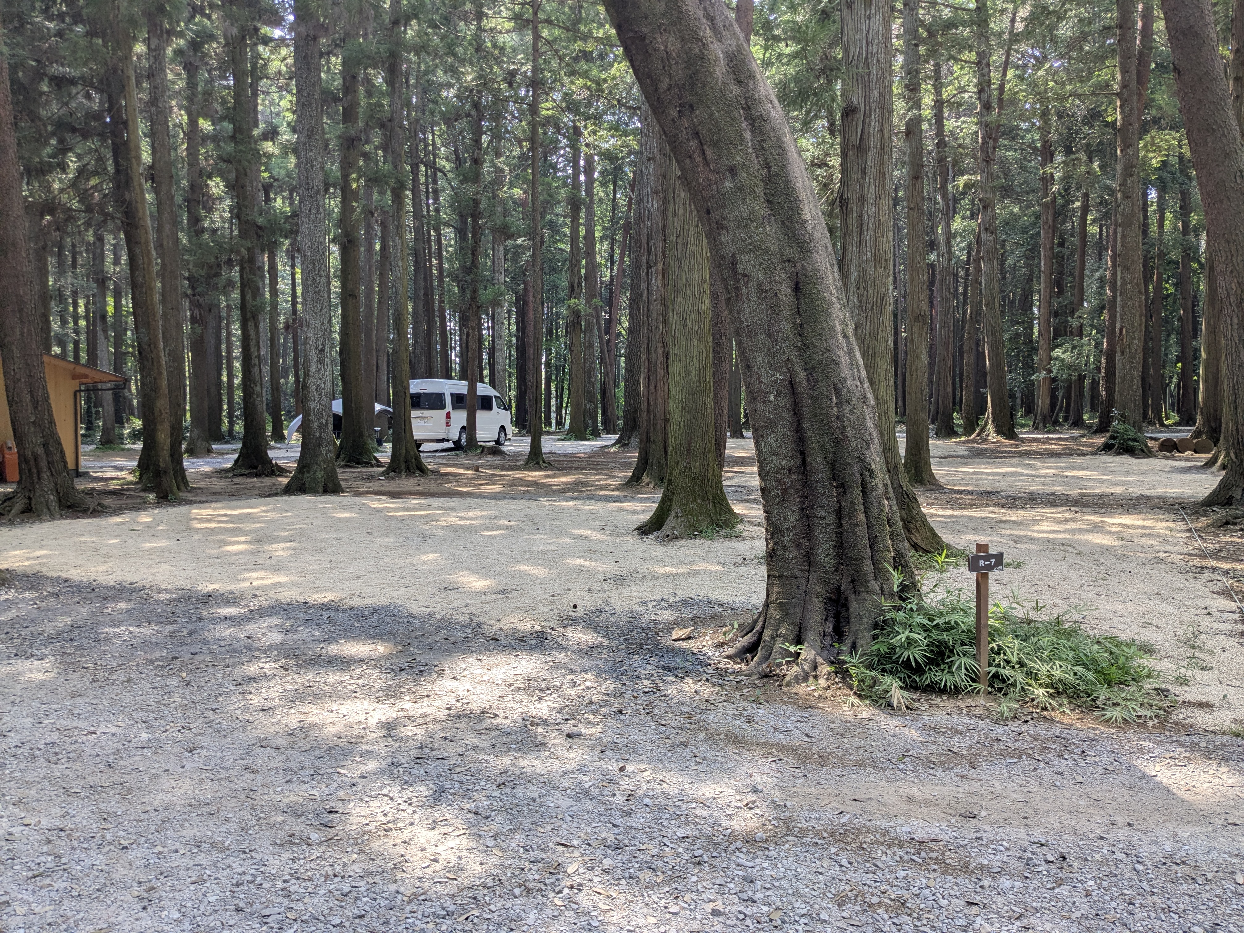 林間オート区画サイト　R-7（約110㎡、車1台まで）