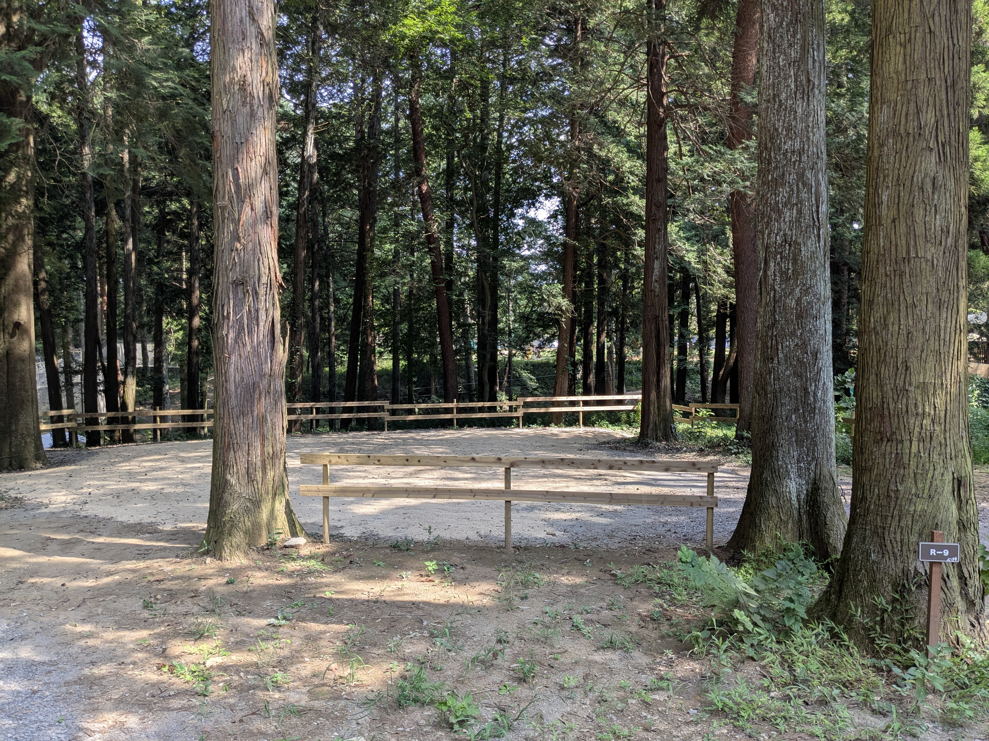 林間オート区画サイト　R-9（約230㎡、車2台まで）