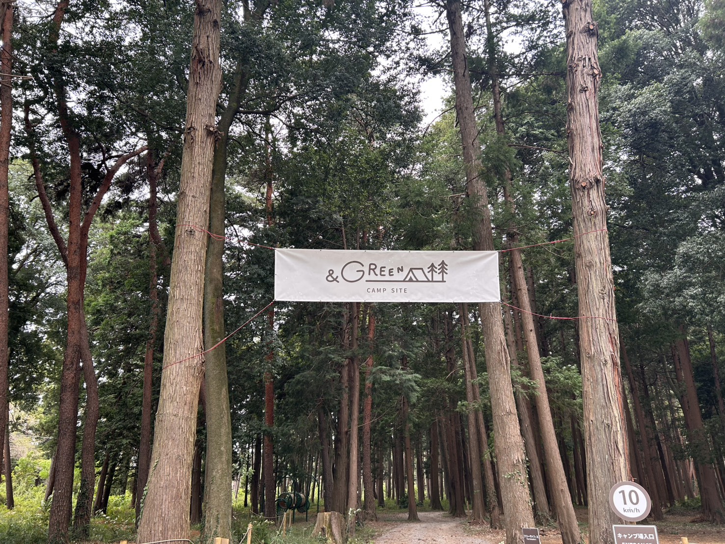 キャンプ場予約