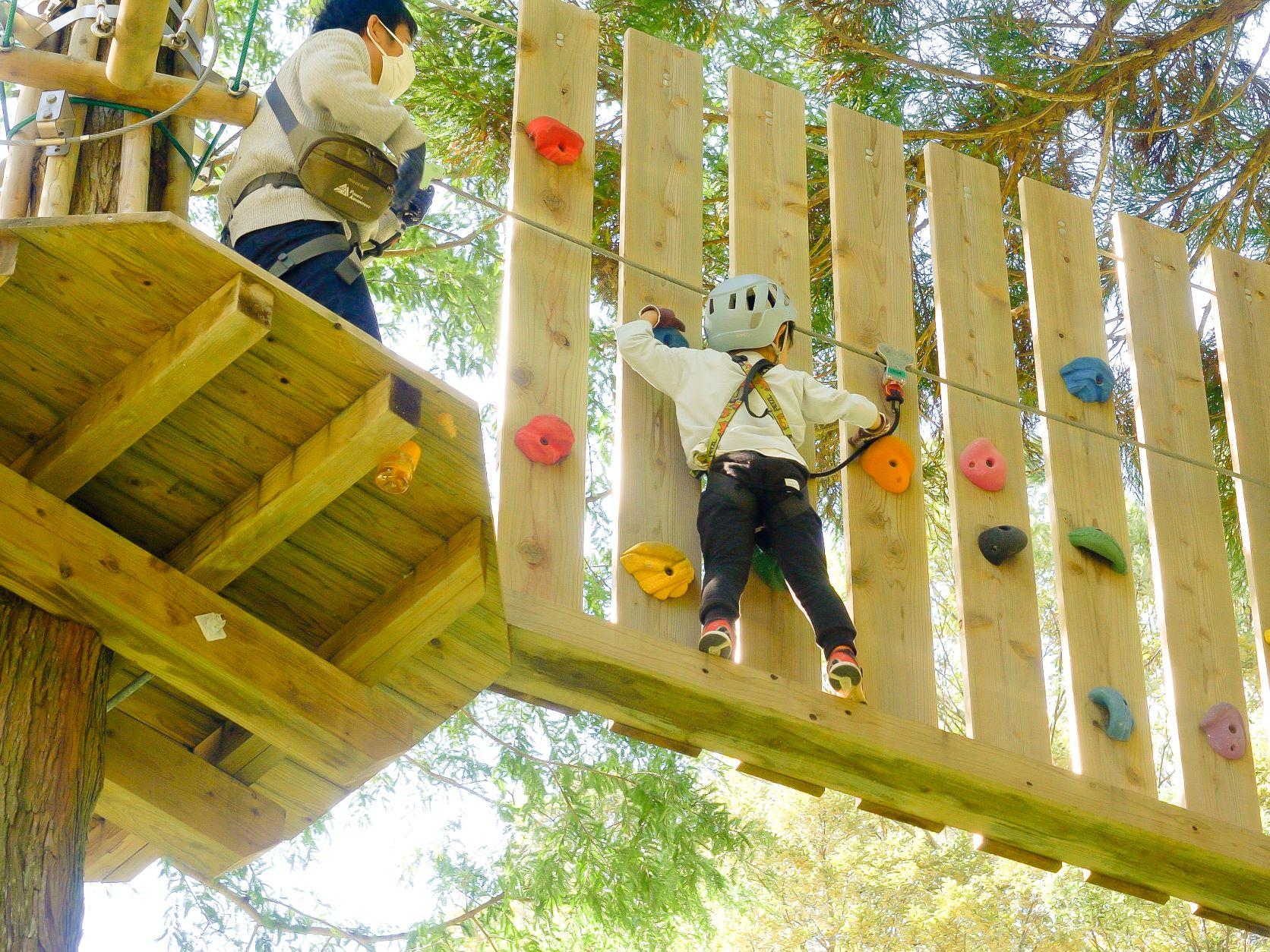 キャノピーコース [CP]