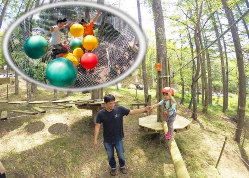 キッズコース＋ネットコース セットプラン