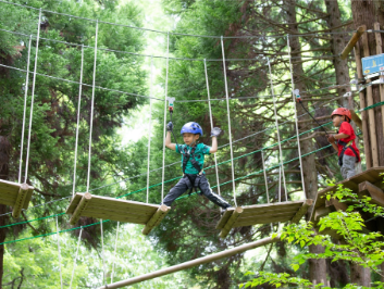 キャノピーコース