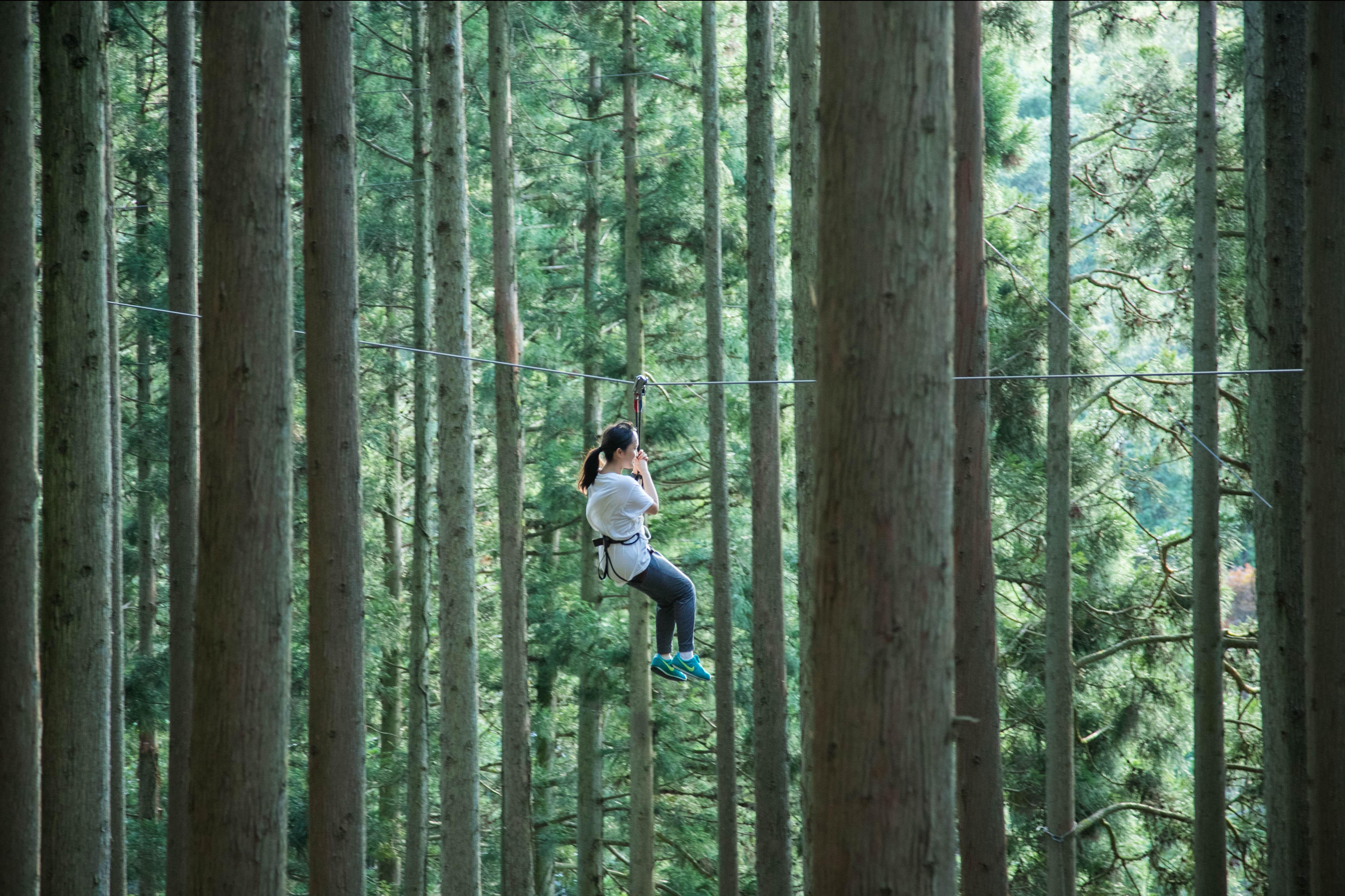 ジップトリップコース