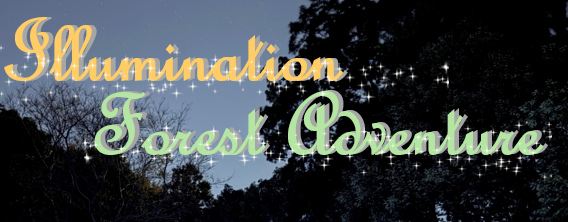 イルミネーション×フォレストアドベンチャー