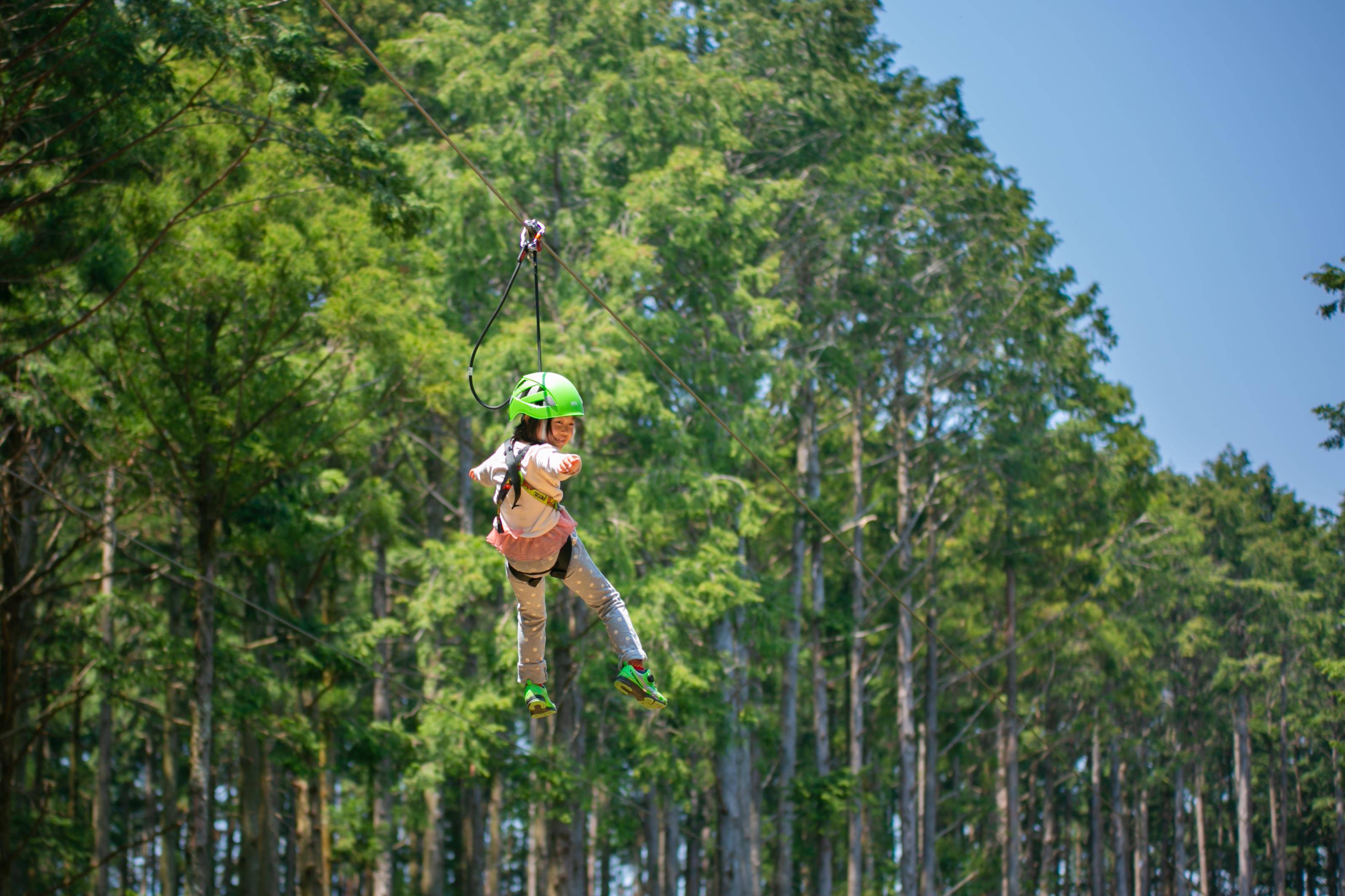 ジップトリップコース