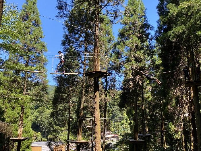 アドベンチャーコース（web予約）