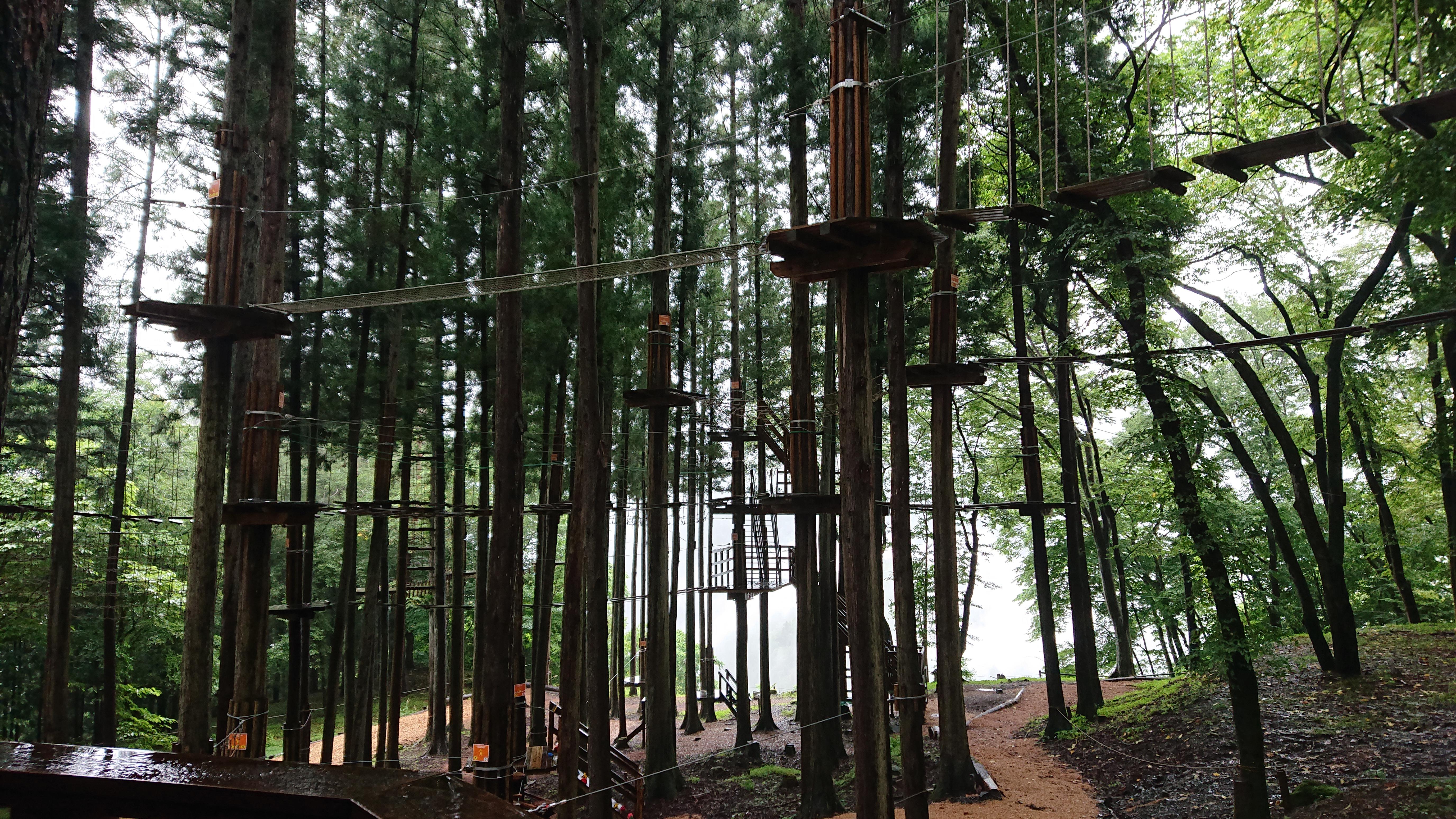 キャノピーコース