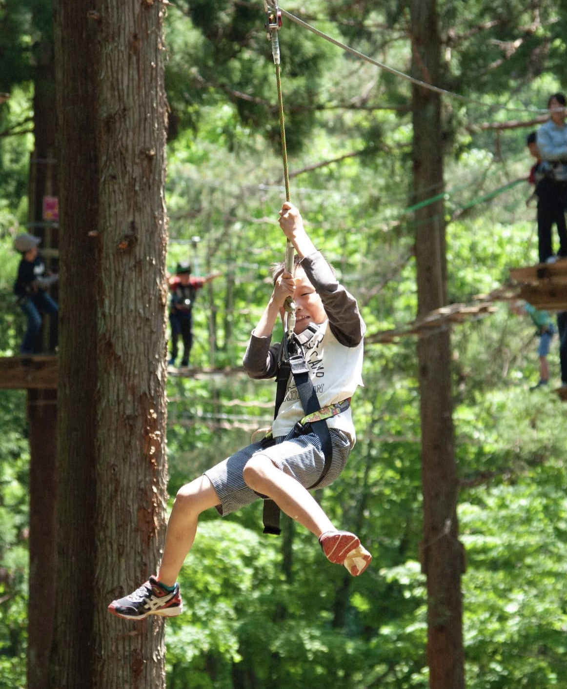 キャノピーコース【CP】