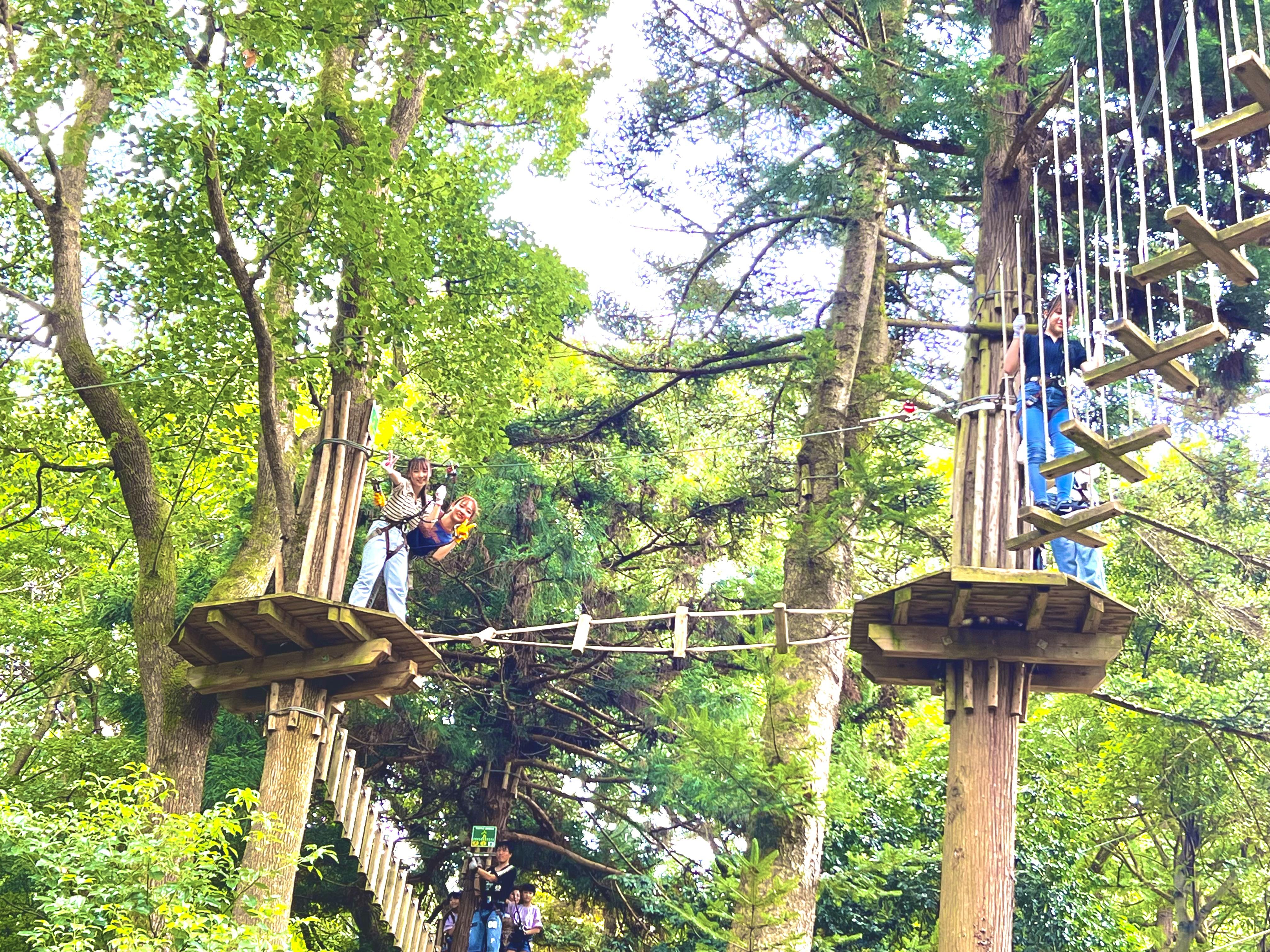 アドベンチャー＆ジップトリップコース