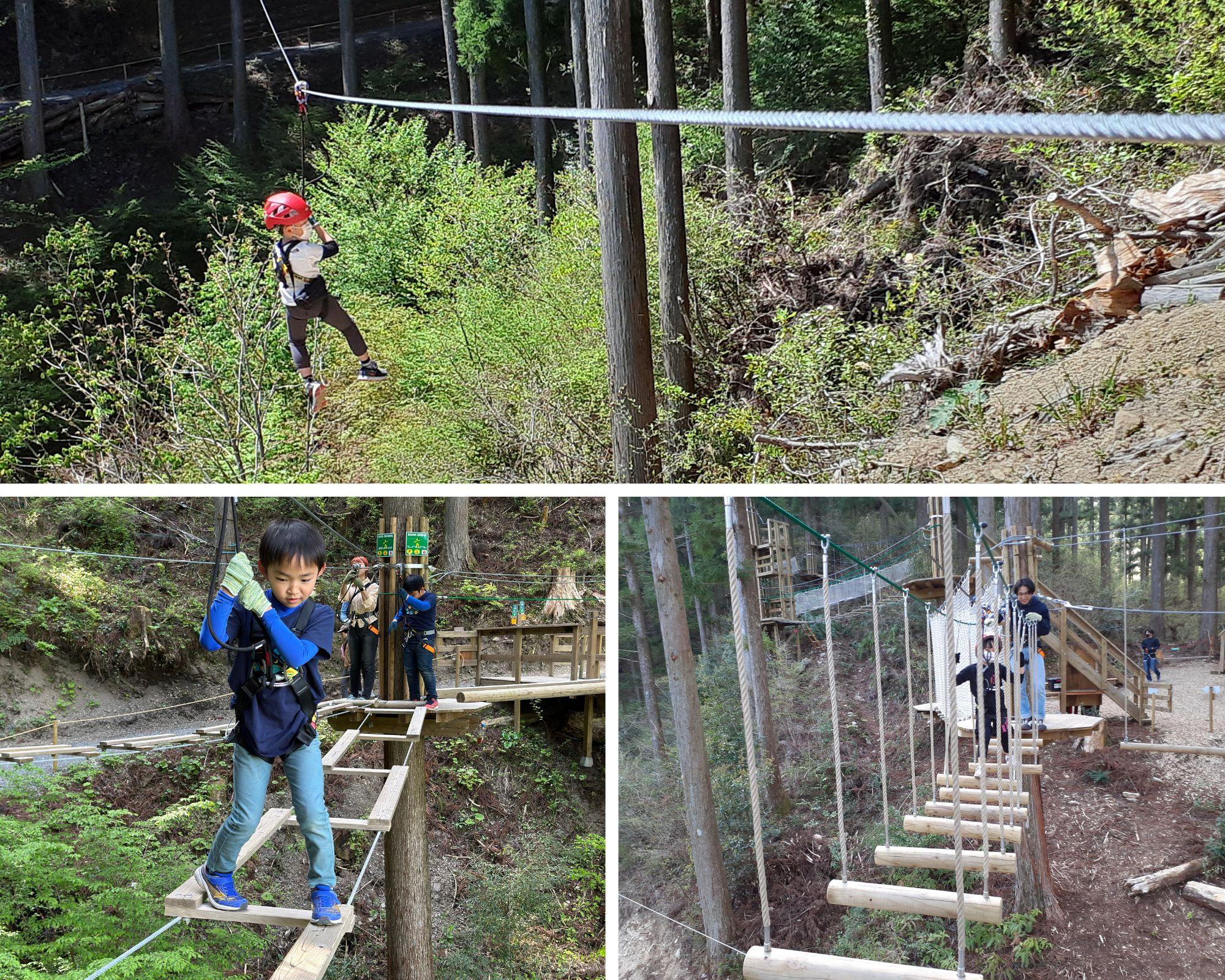 キャノピーコース