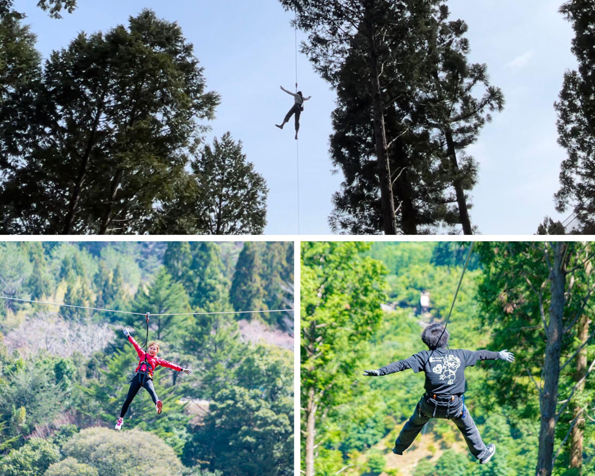 ジップトリップコース