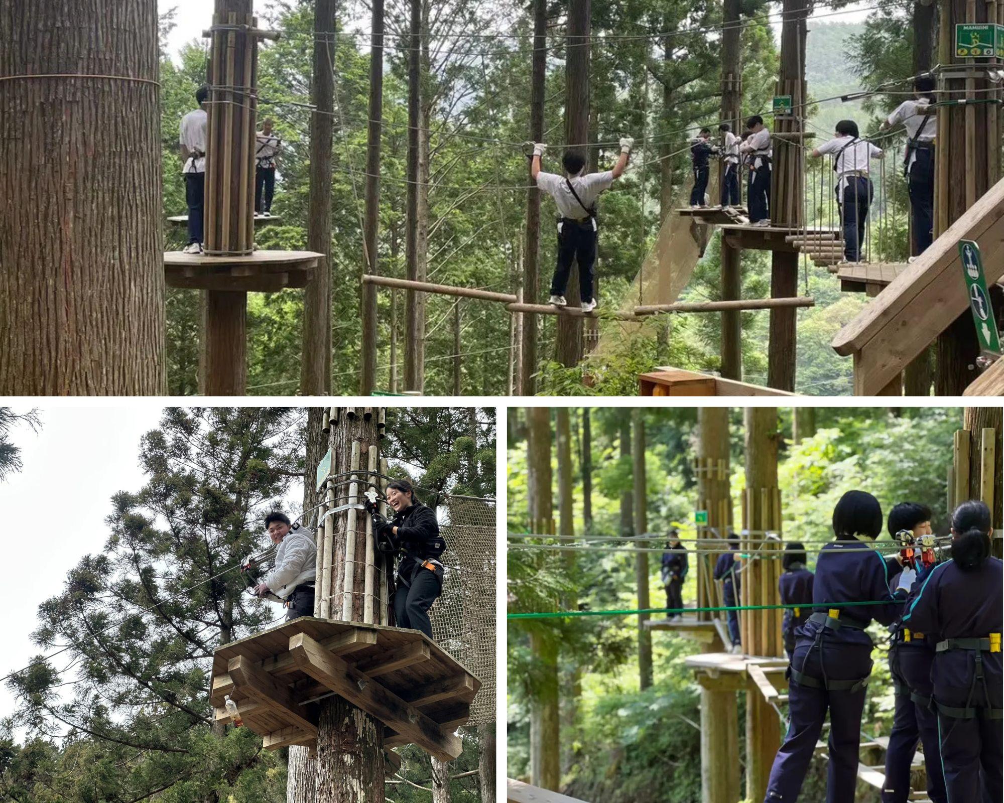 キャノピーコース【高校生プラン】