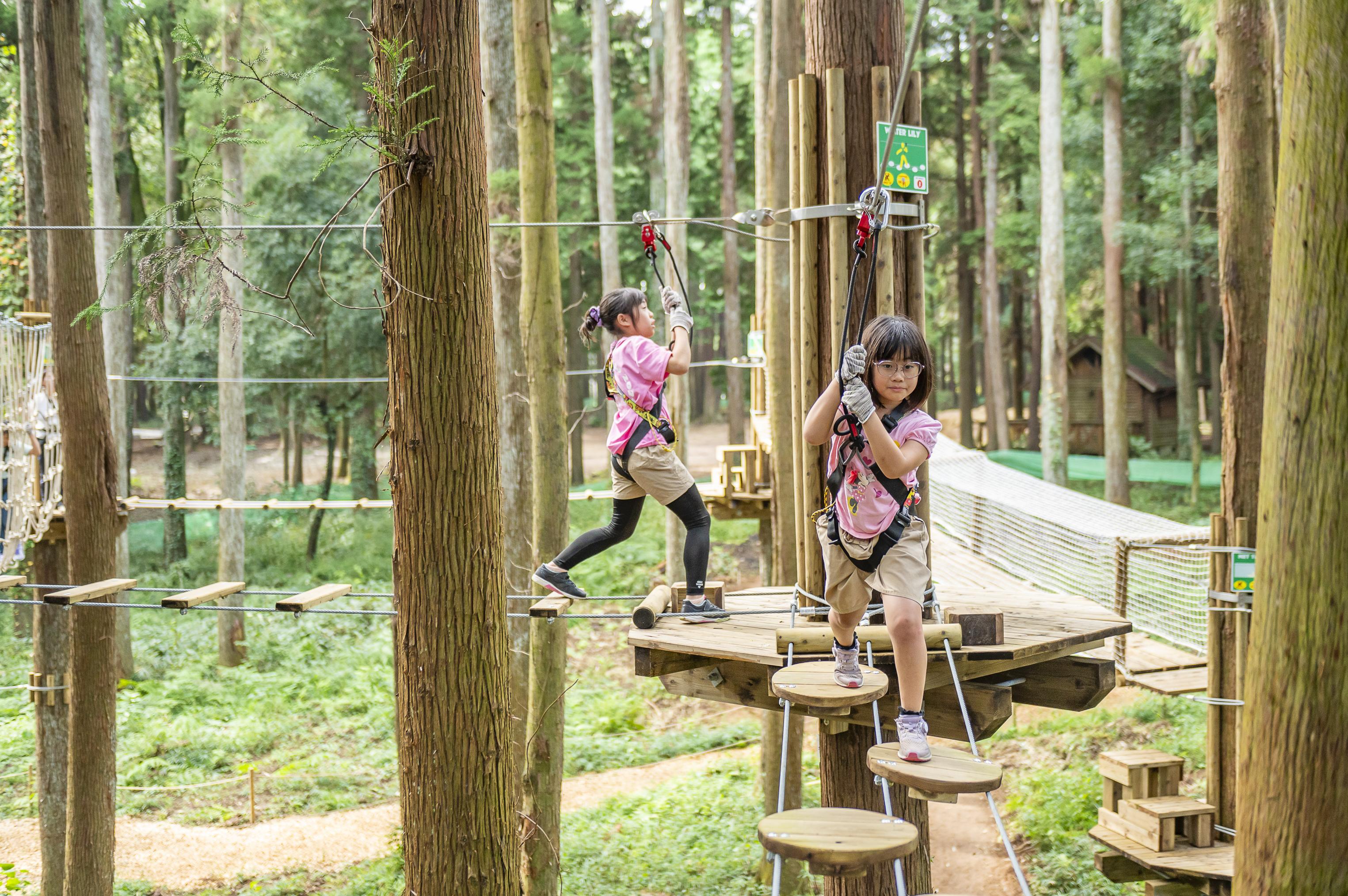 トレックコース60分