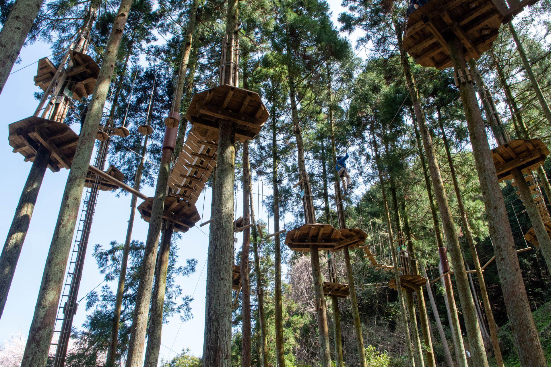 アドベンチャーコース