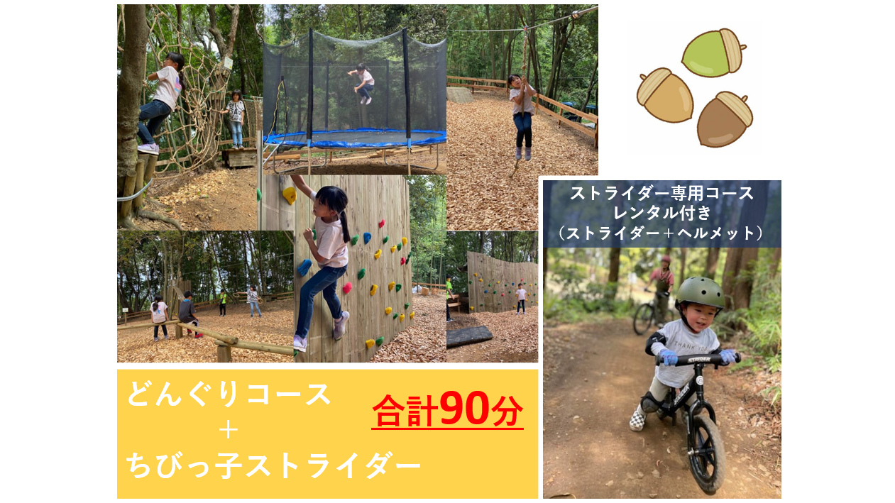 どんぐりコース