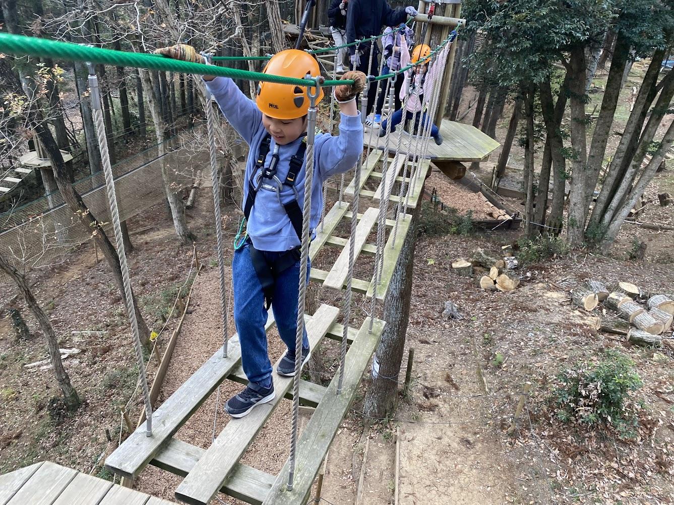 キャノピーコース