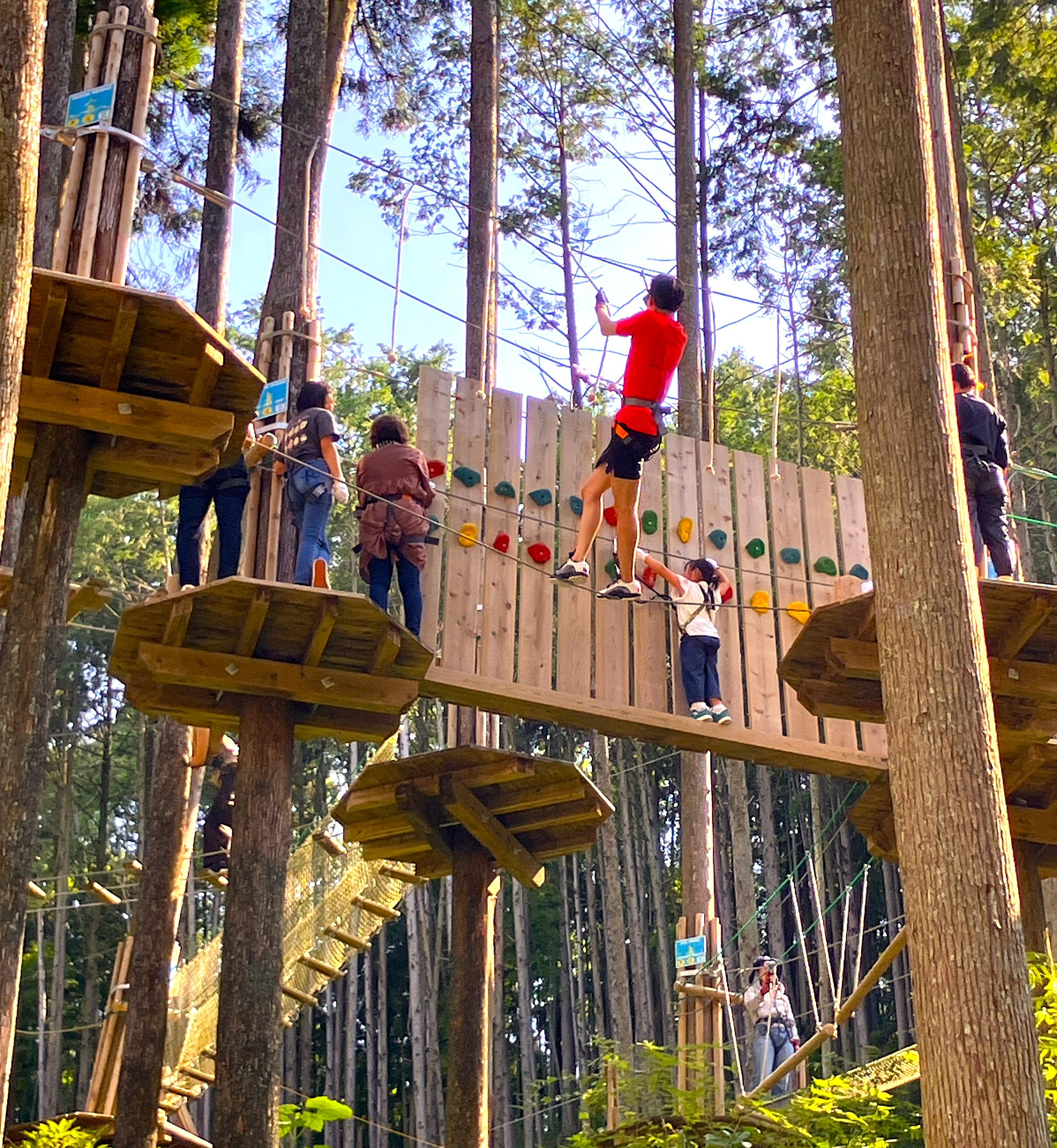 キャノピーコース