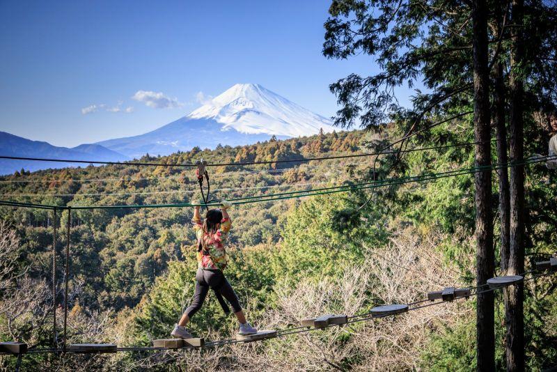 キャノピーコース