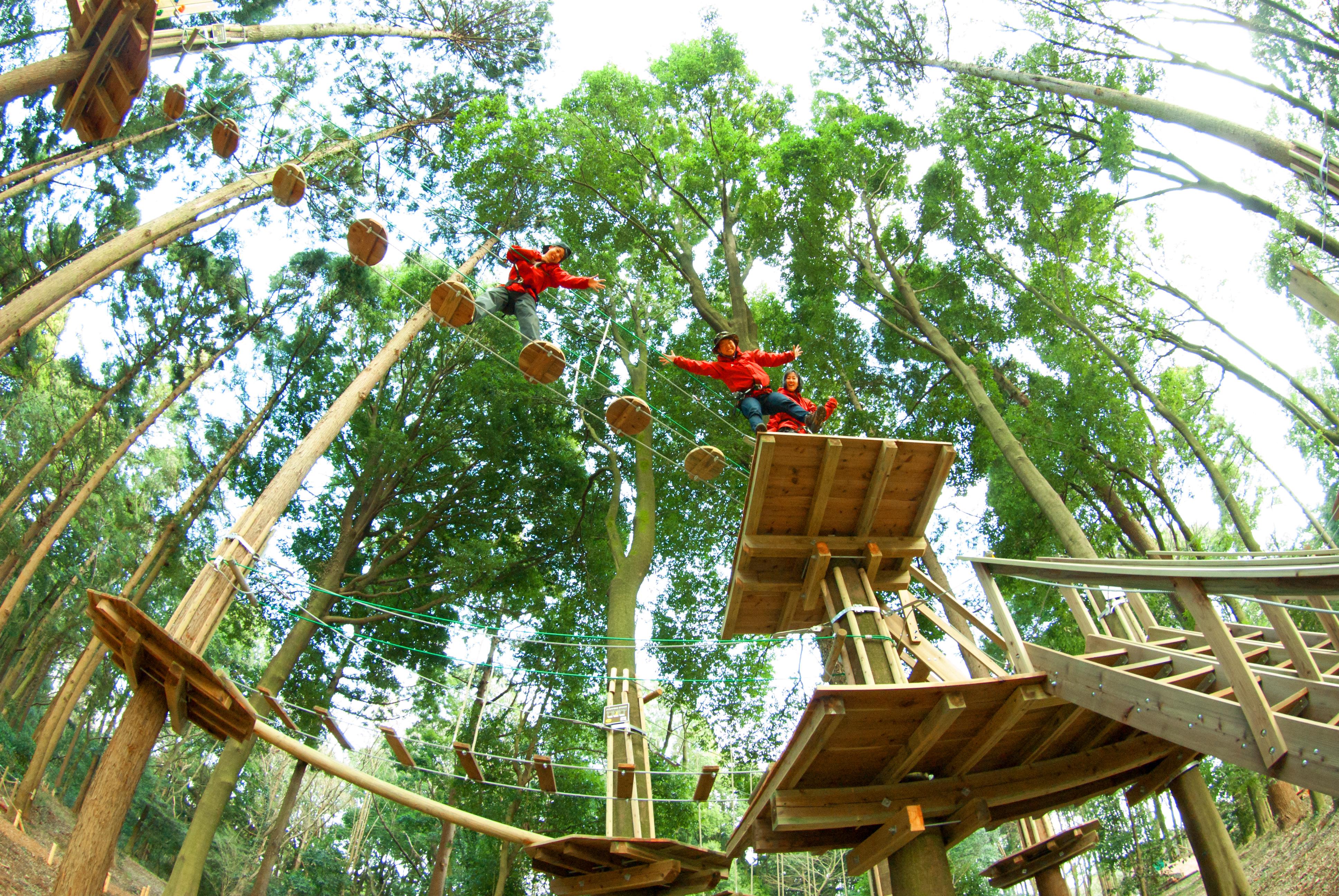 高校生限定プラン