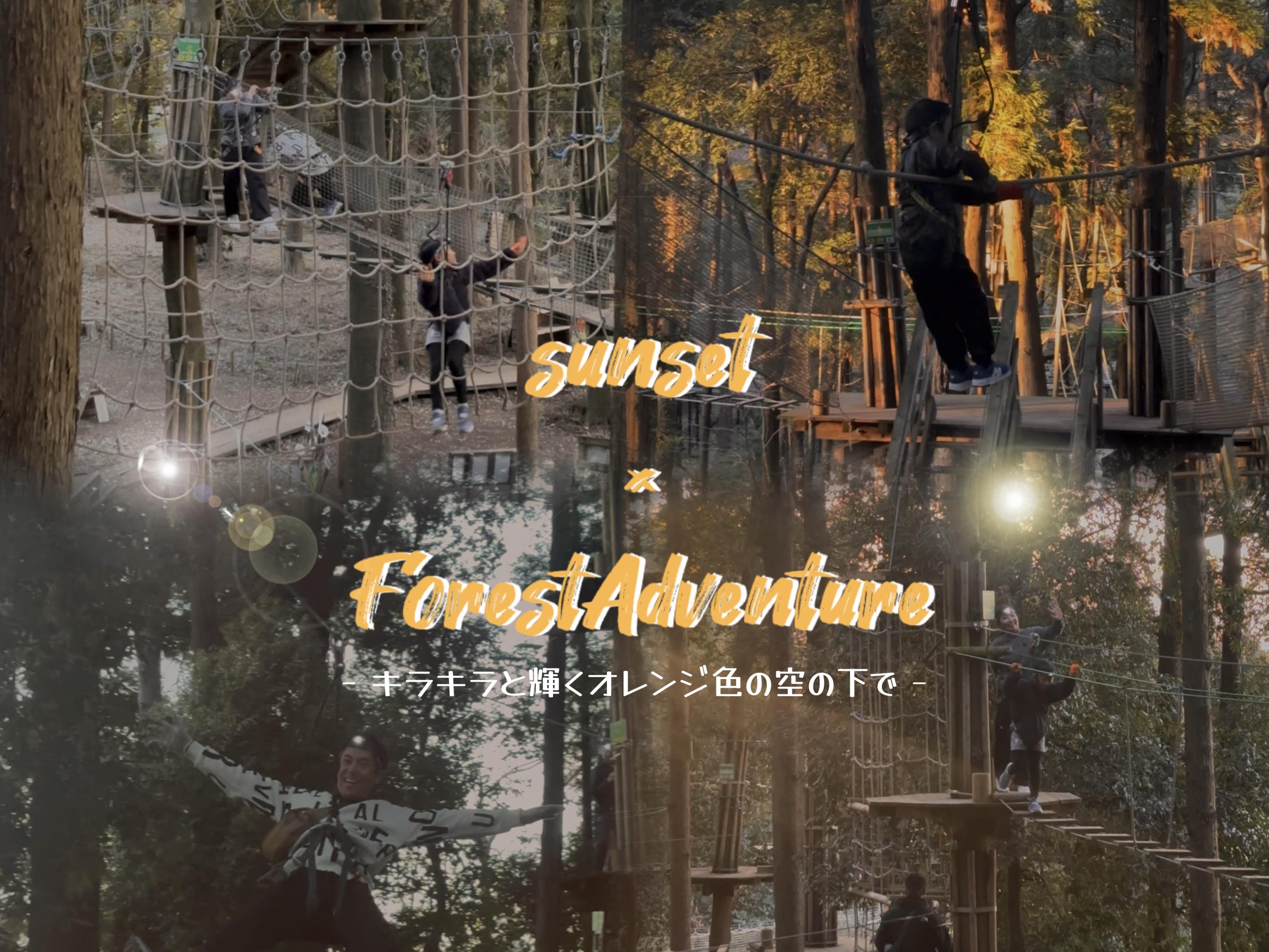 トレックコースサンセットプラン