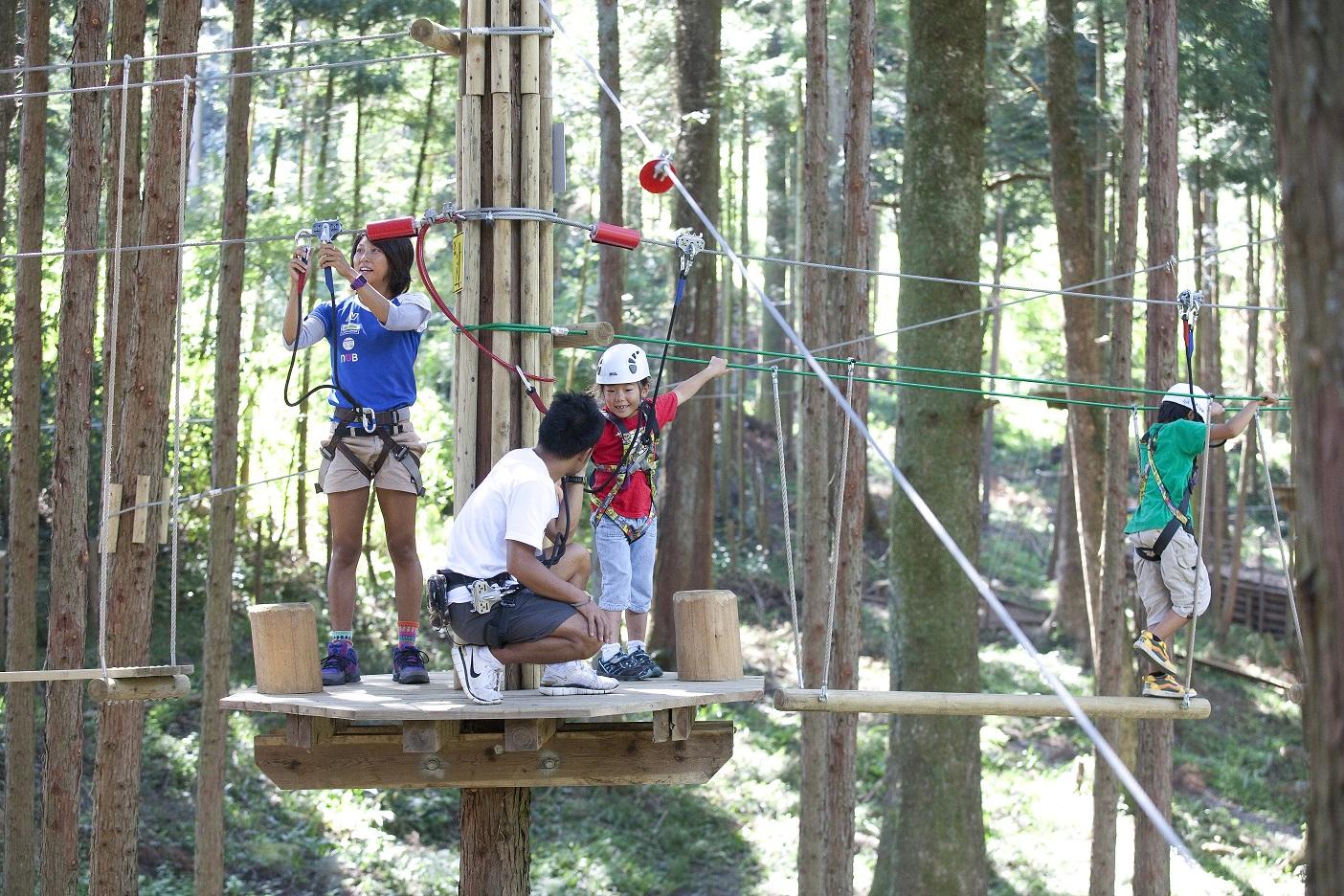 キャノピーコース