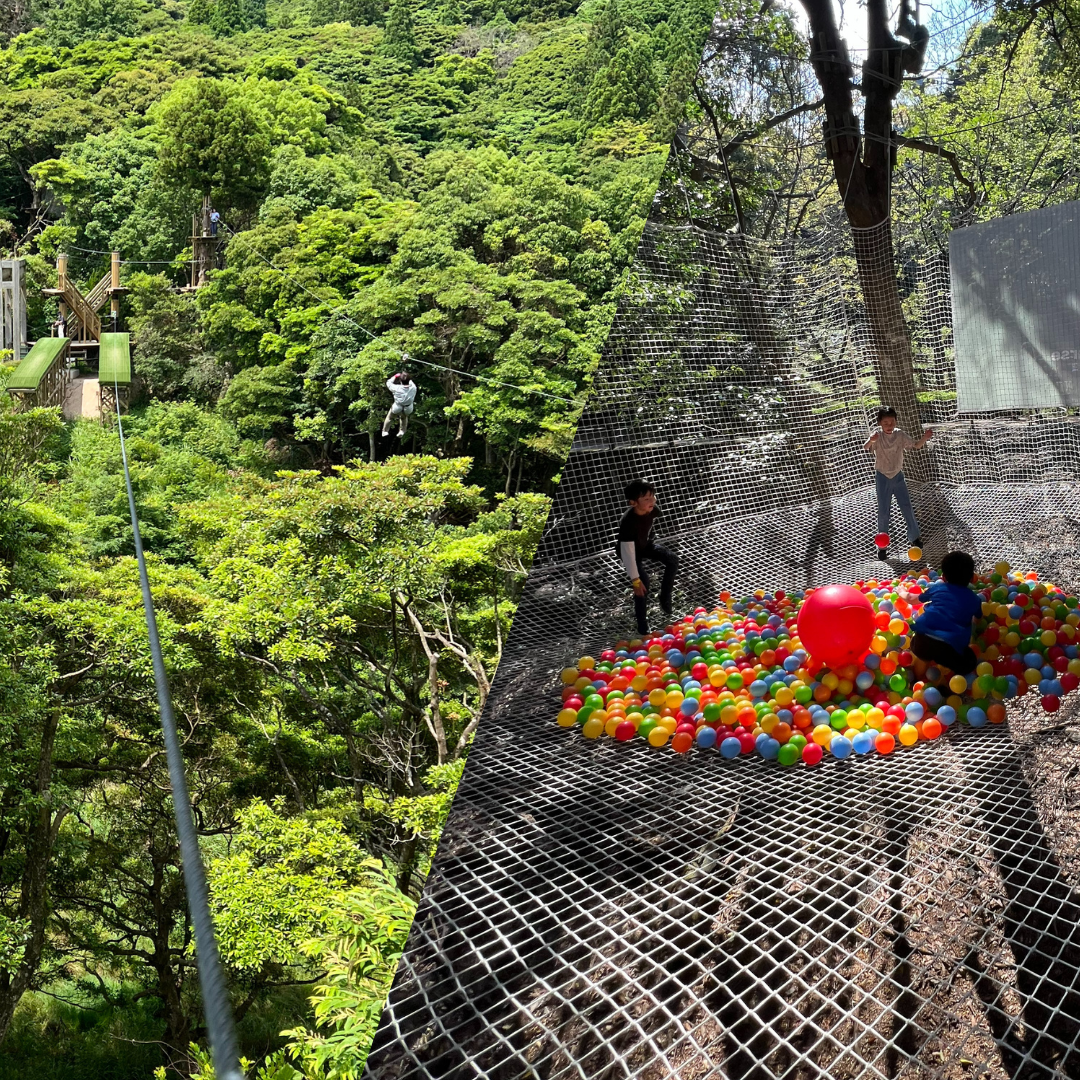 セットコース（ジップトリップ＋ネット）