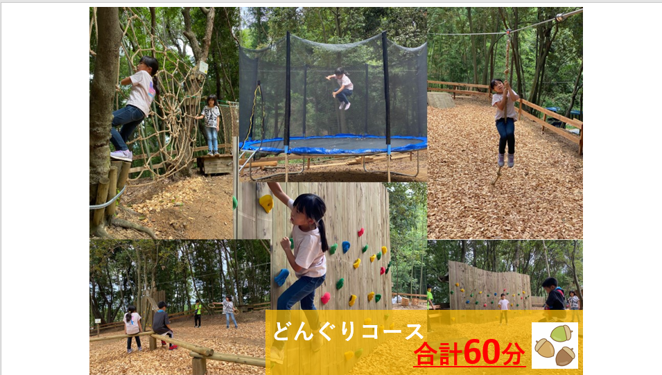 どんぐりコース