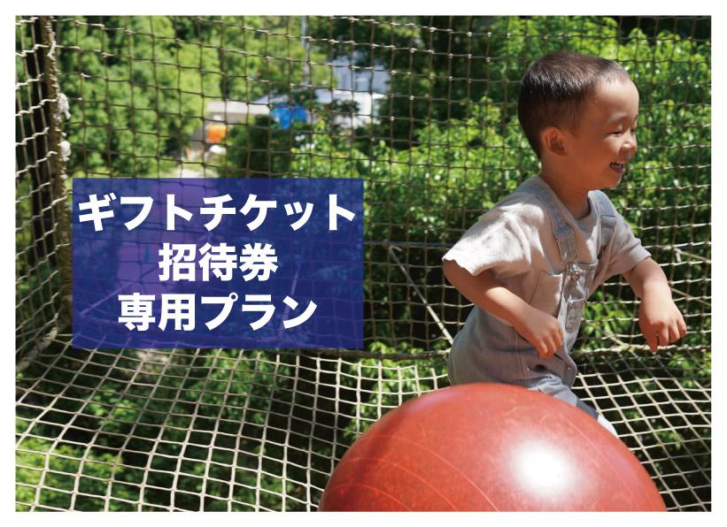【ギフトチケット・招待券のお客様専用】ネットコース[NT]
