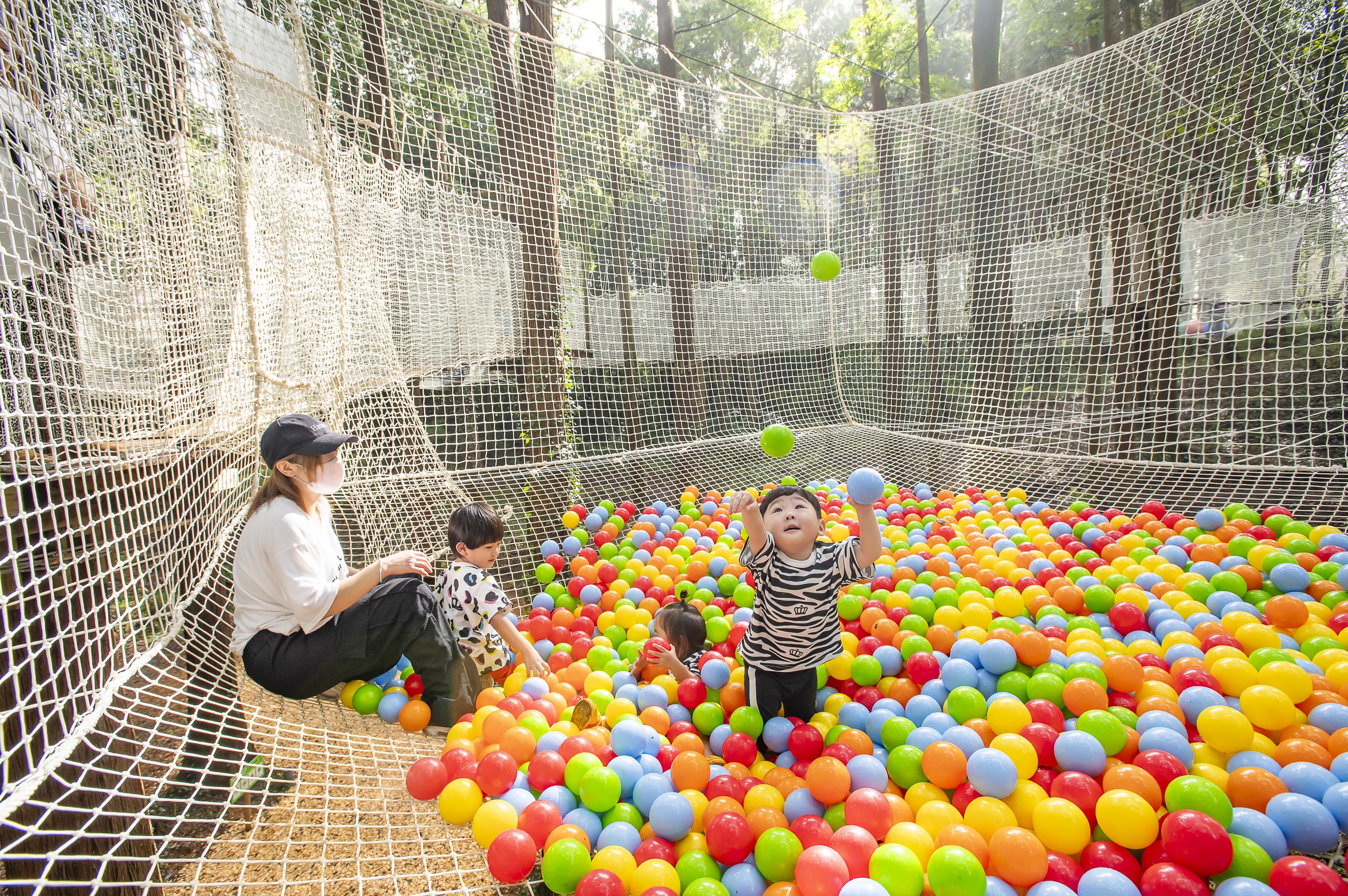 ネットコース[NT]