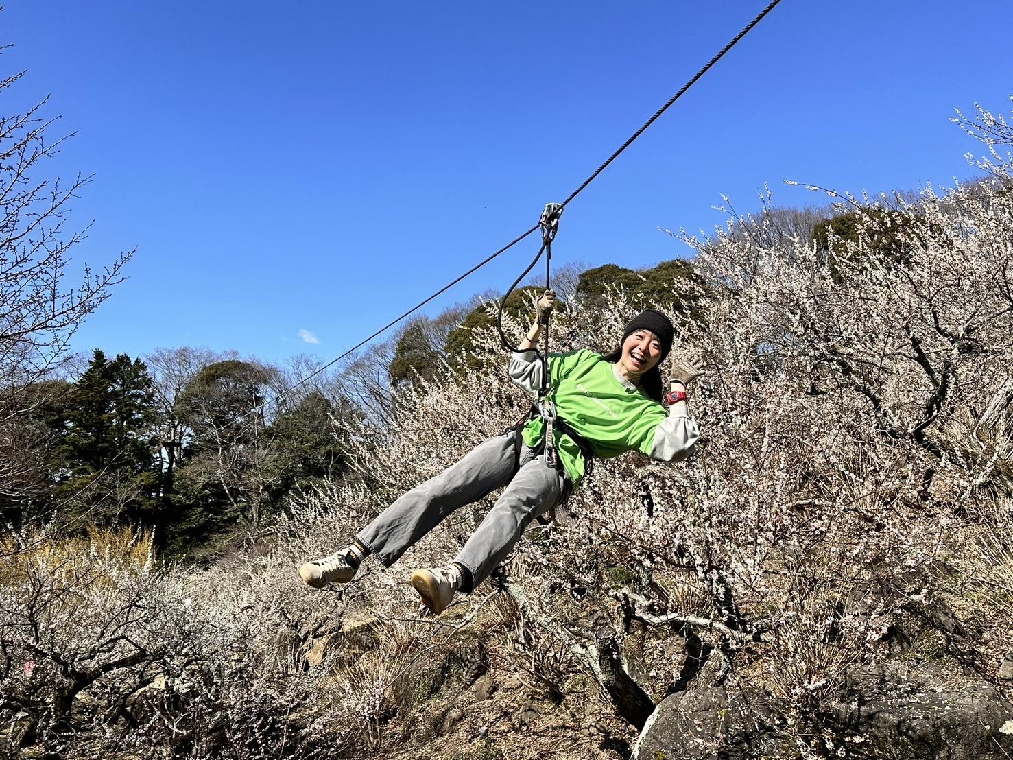 ジップトリップコース