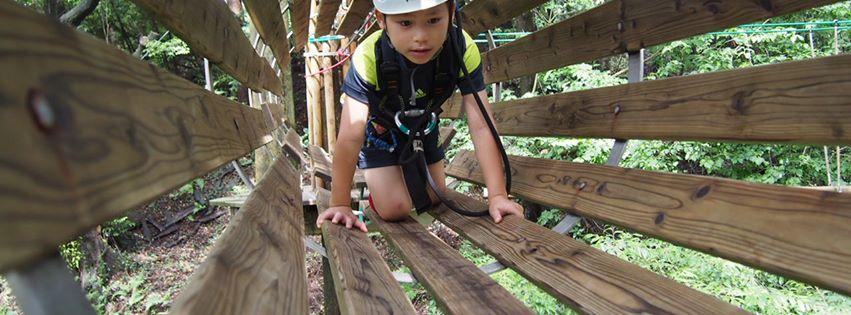 キャノピーコース