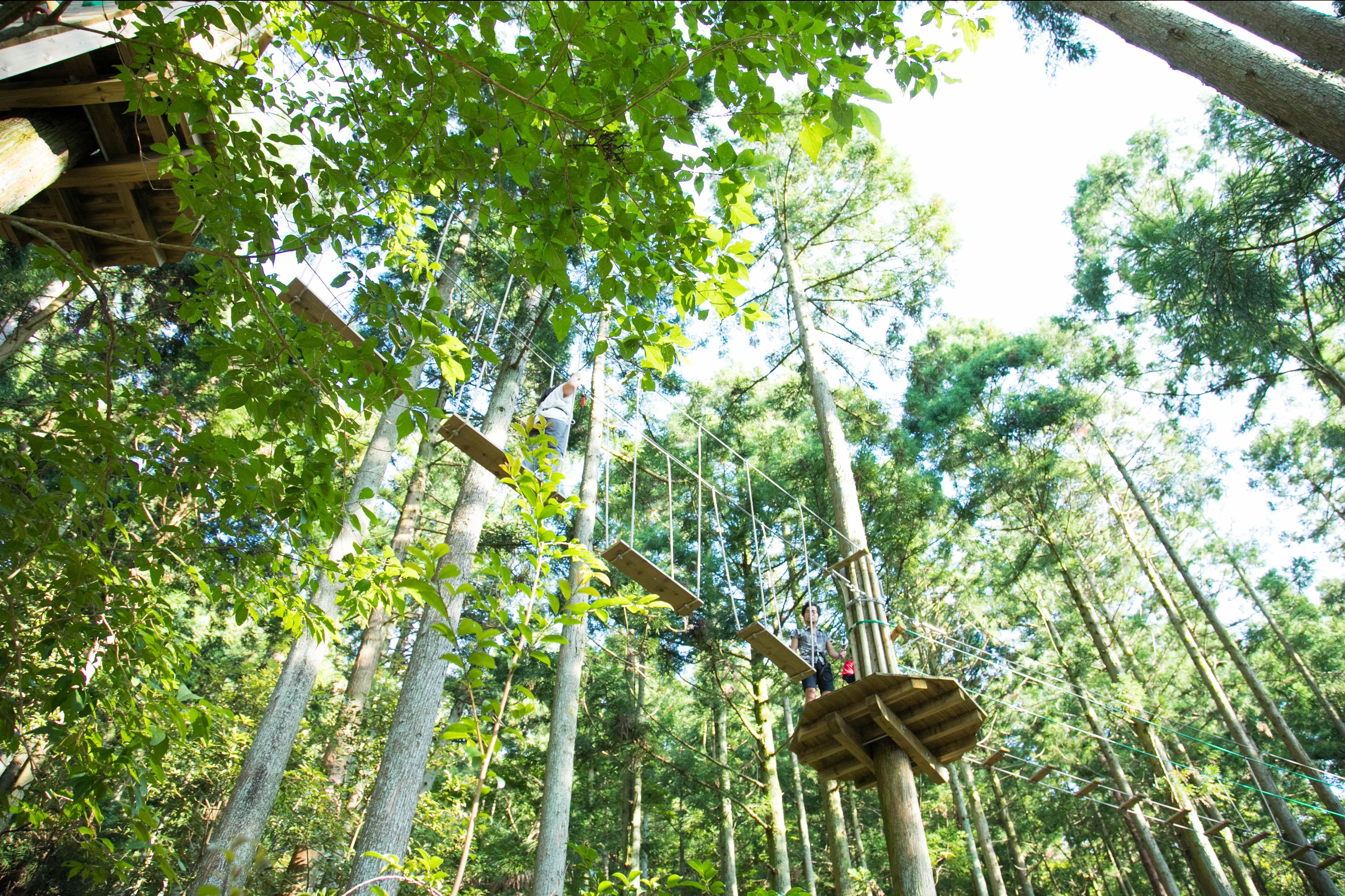 トリロジーパック