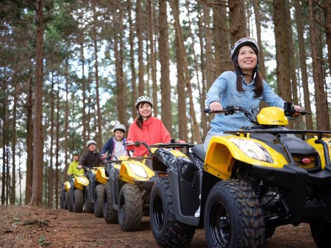 ゴーゴーバギー